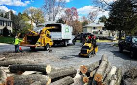 Professional Tree Removal and Landscaping Services in Cataula, GA